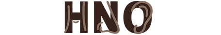 Einfarbiges Logo MVZ