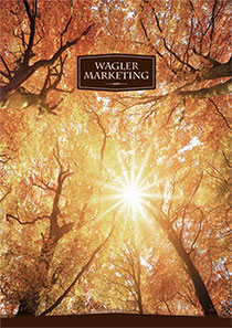 Rötlich-gelbe Waldatmosphäre im sonnigen Herbst, Sonnenstrahlen passieren die Baumkronen. Wagler Marketing Logo mit im Bild. 